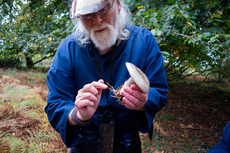 Scenes from last years' "Fantastic Fungi & Lichens" events Photos Minehead Coast and Development Trust