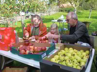Village impresses visitors with apple varieties