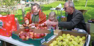 Village impresses visitors with apple varieties
