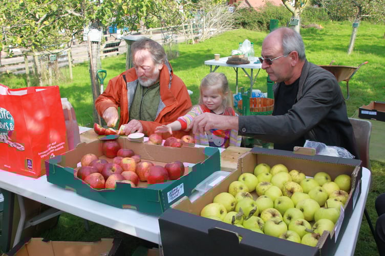 Guy Lichfield and Paul Weldon chopping apples at Carhampton Apple Day.