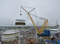 Petition calls for Hinkley C fish protection measures