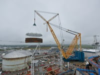 Petition calls for Hinkley C fish protection measures