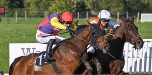 David's Diary: Great week for the yard with three winners 