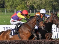 David's Diary: Great week for the yard with three winners 