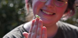 £4.5m project helping young people connect with nature on Exmoor