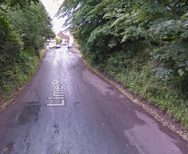 'Urgent' appeal after woman, 40s, sexually assaulted in Nether Stowey