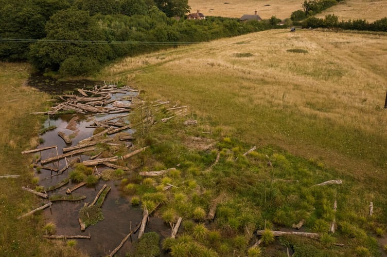 An aerial view of new wetland habitat created by the 'Stage 0' river restoration on the Holnicote Estate, Exmoor. PHOTO: James Beck and National Trust Images.
