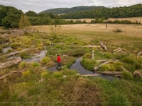  Progress report on National Trust pioneering nature project