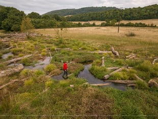  Progress report on National Trust pioneering nature project