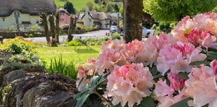 Villagers opening gardens to support hospice