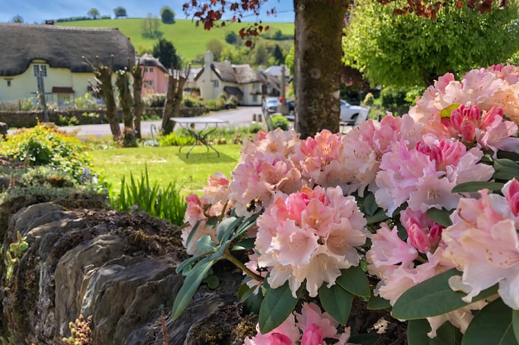Several gardens in Winsford, on Exmoor, opened to the public during the summer to raise funds for St Margaret's Hospice. PHOTO: Hayley Milne.