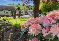Open gardens in Winsford will raise funds for St Margaret's Hospice