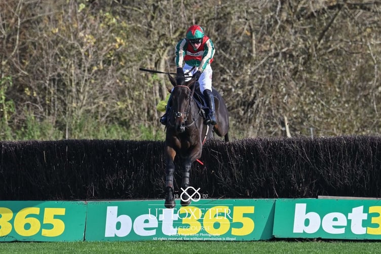 Vision De Maine Winner at Uttoxete (Photo: Nigel Kirby)