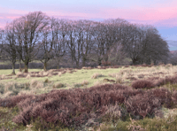 Forum to hear how landscape can be 'stitched together'