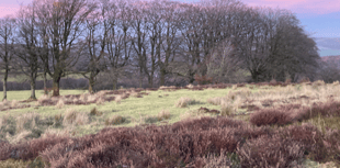 Forum to hear how landscape can be 'stitched together'