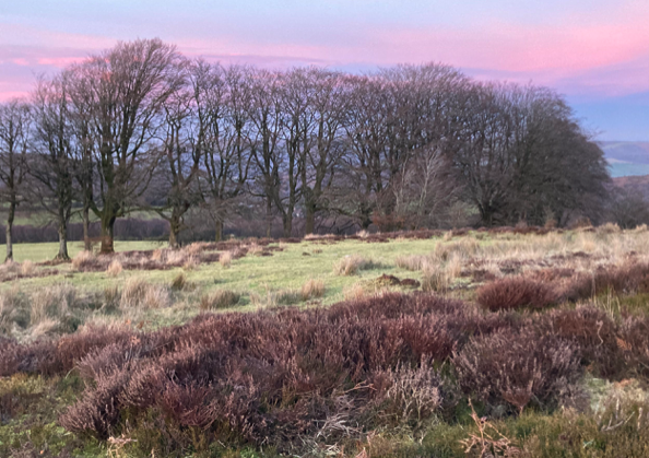 A view of some of the West Somerset landscape. PHOTO: West Somerset Green Forum.