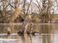 Experts to answer water pollution queries at climate group meeting