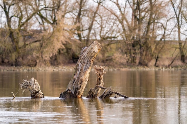 Experts to answer water pollution queries at climate group meeting