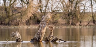 Experts to answer water pollution queries at climate group meeting