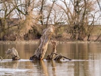 Experts to answer water pollution queries at climate group meeting