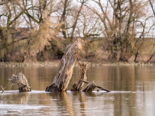 Experts to answer water pollution queries at climate group meeting