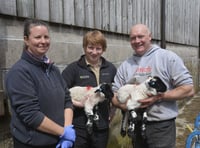 Farming network given £20k to support health and wellbeing