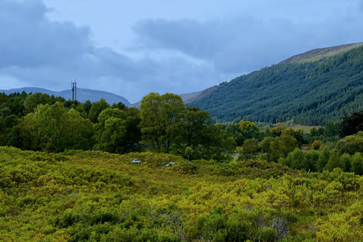 Cornerstone wants to put up a telecommunications mast on Exmoor similar to this one. PHOTO Shared Rural Network.