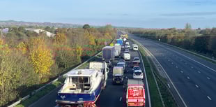 Girl, 17, killed on M5 had fled police vehicle before she was struck