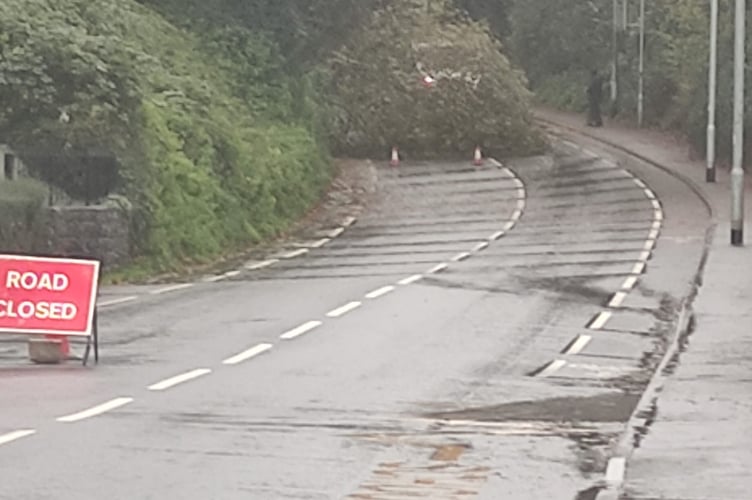 Hilly Head road closed due to a fallen tree
