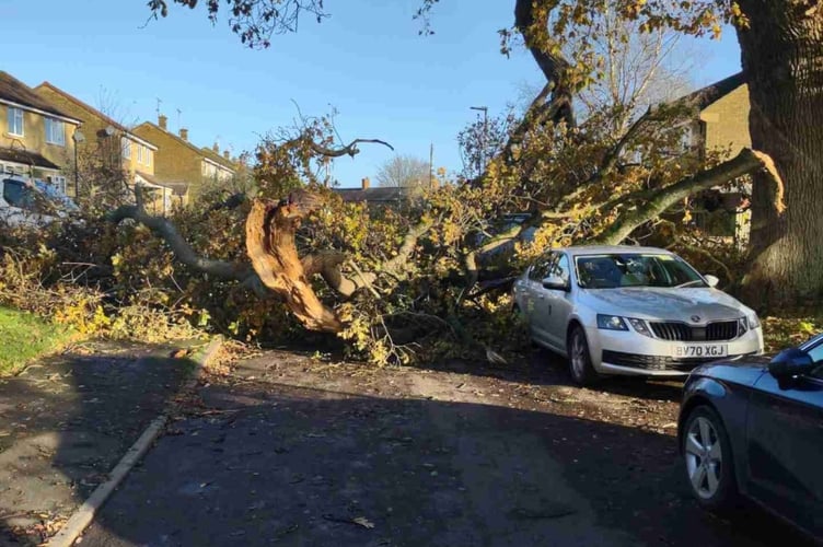 Somerset Council shares impact of Storm Bert on local communities