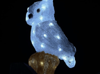 Watchet Christmas lights switch on hosted by charity Elliot's Touch