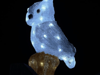 Watchet Christmas lights switch on hosted by charity Elliot's Touch