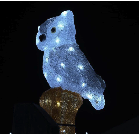 Watchet Christmas lights switch on hosted by charity Elliot's Touch