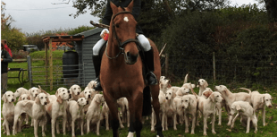 Taunton Vale Harriers to host Boxing Day Meet in Wiveliscombe
