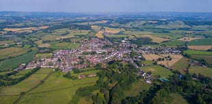 Wiveliscombe environmental collective launches with "green" website 