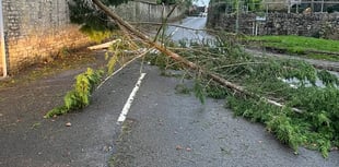 Storm Darragh recap as buildings destroyed and trees felled