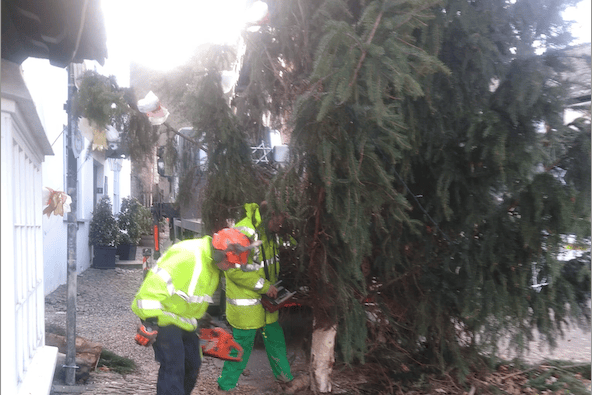 GA Sully staff raise Dunster's Christmas tree back into position after it was blown down by Storm Darragh.