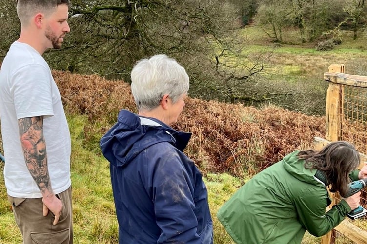 Volunteers help to plant 'parkland trees' on moor dedicated to loved ones and special causes. PHOTO: ENPA.