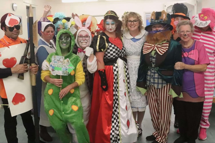 Some of the cast of Williton Community Hospital's pantomime 'Alice in Meadowland'. PHOTO: Ben Bland Photography.