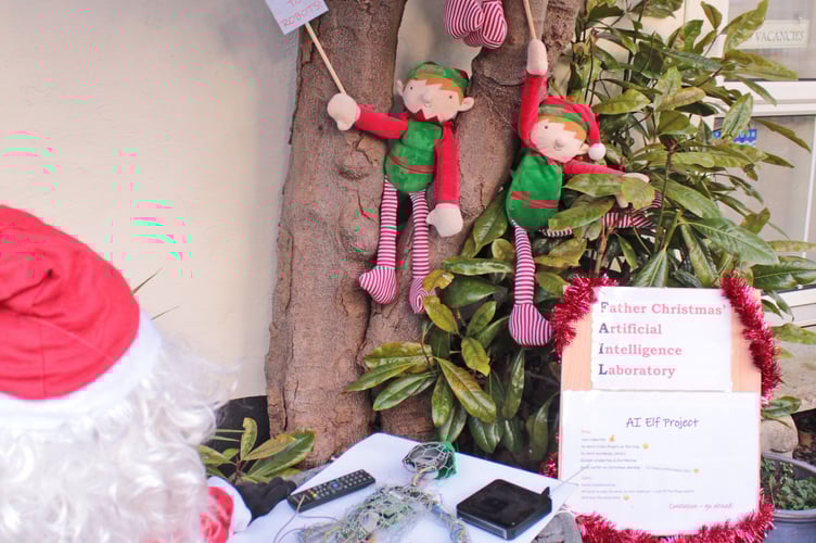 'Boo to Robots!', by The Cottage bed and breakfast, Porlock, which won awards in the village's annual Santa festival. PHOTO: Chris Gladstone.