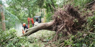 Public appeal for funds to help clear Storm Darragh damage