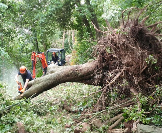 Public appeal for funds to help clear Storm Darragh damage