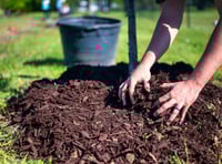 GOOD GARDENING - January