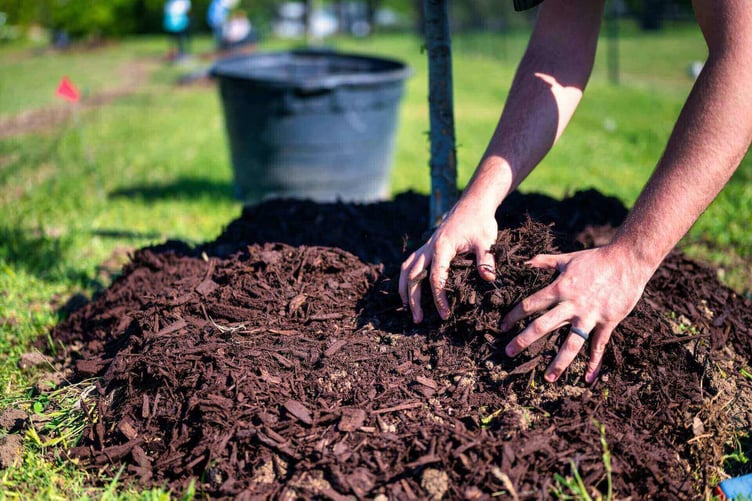 Mulch provides natural winter protection. PHOTO: Soil Earth Cycle.