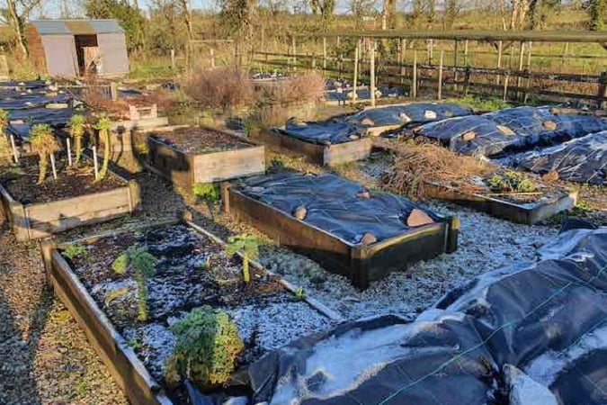 Vegetable beds covered with plastic sheets. PHOTO: Quickcrop