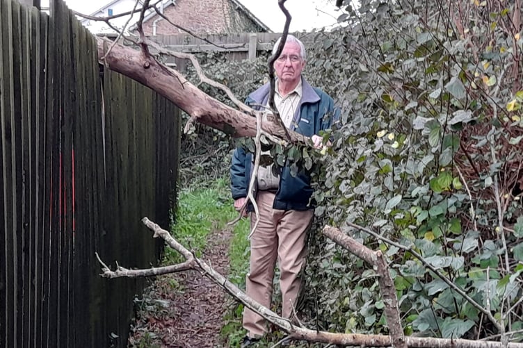Part of the fallen tree across the public footpath. PHOTO: George Ody.
