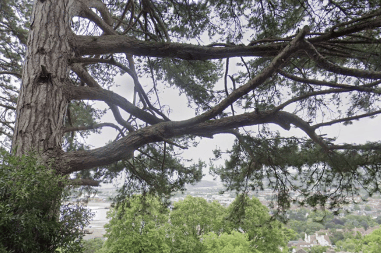A view over Minehead from North Hill. PHOTO: Google Maps.