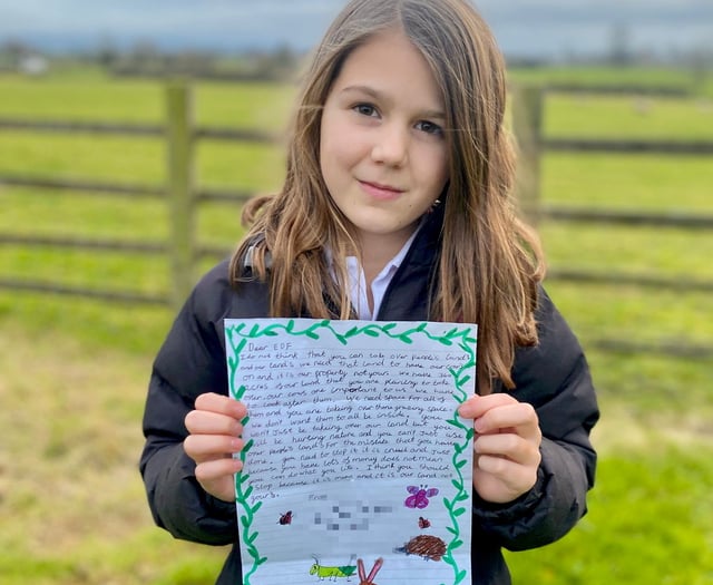 Girl, 10, writes to EDF begging for end to Hinkley saltmarsh plan
