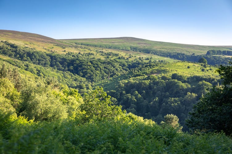 View from the circular route at Webber's Post, Somerset