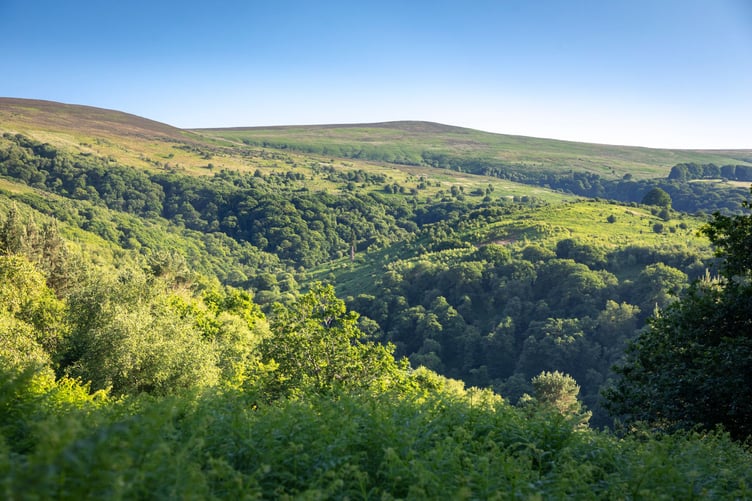 View from the circular route at Webber's Post, Somerset